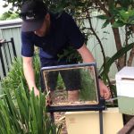Native Australian Bee Workshops